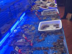-新黑石礁酒楼·海鲜(黑石礁店)
