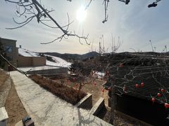 -蓟洲国际滑雪场