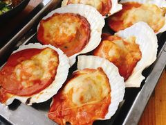 经典芝士日式青芥扇贝-炒豆合作社(东四总店)