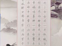 -赵汝飞练字硬笔书法(博泰国际校区)