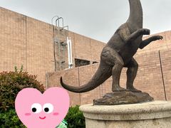 -自贡恐龙博物馆