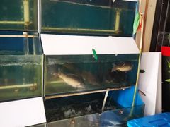 -滇香肴·云南菜蒸汽石锅鱼(云南北路店)