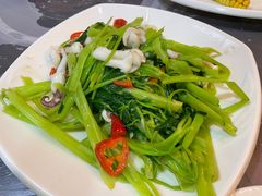 -富来美食