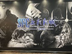 -SFC动漫主题影院(美罗城店)