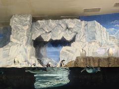 -成都浩海立方海洋公园