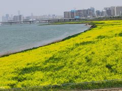 -天怡·鱼工厂(临江店)