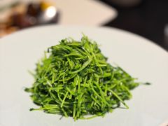 -RIVIERA 松鹤楼(外滩店)