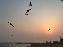 -老虎石海上公园