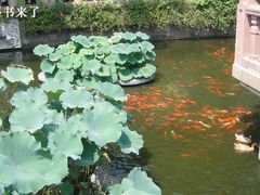 -豫园湖心亭茶楼