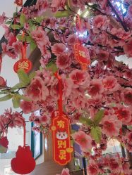 -卡通尼·超级欢乐屋(重庆渝北吾悦广场店)