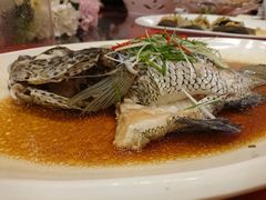 -都市阳光海鲜城(青山湖店)