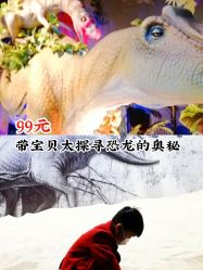 -恐龙探索乐园(磁器口店)