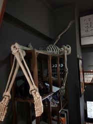 -木子·纹身店TATTOO穿孔·洗纹身