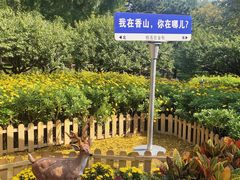 -香山公园