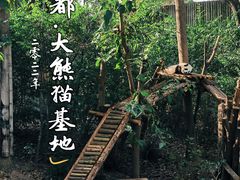 -成都大熊猫繁育研究基地