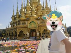 -西双版纳勐泐文化旅游区