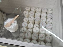 -洪馨椰子