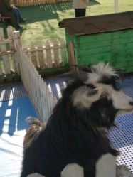 -萌宠亲子动物乐园(槐房万达店)