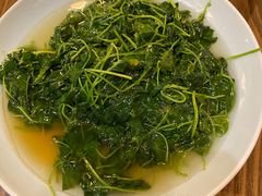 -双塔老饭店