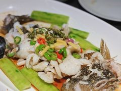 鲜花椒蒸笋壳鱼-粤凤佬