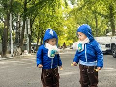 -三里屯东五街银杏大道
