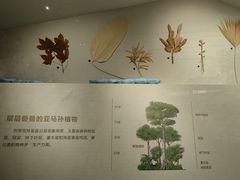-长江文明馆