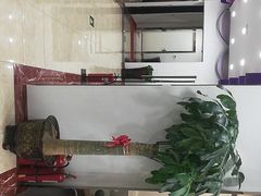 -中科领军口腔