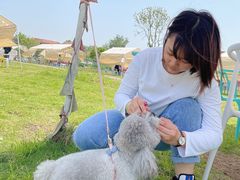 -梁子湖东篱老屋生态庄园