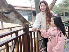 -灵玲国际马戏城