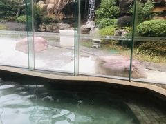 -天目湖涵田半山温泉