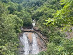 -广州白江湖森林公园