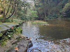 -燕子河大峡谷天坑仙境