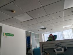 -章光101防脱养发荟