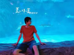 -泉城欧乐堡海洋极地世界