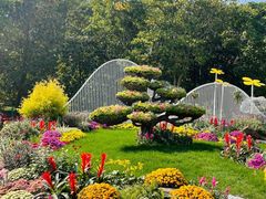 -上海共青森林公园