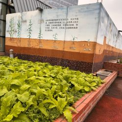 -梦田都市农场(银泰城店)