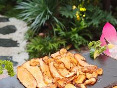 -菌自由丨野生菌火锅特色庭院餐厅(丽江古城店)