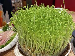 -好彩猪肚鸡(正弘城店)