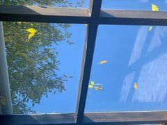 -VOYAGE COFFEE(北锣鼓巷店)