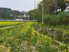 -红山村