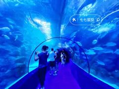 -左海海底世界