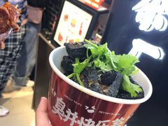 -黑色经典臭豆腐·湖南特产(坡子街店)