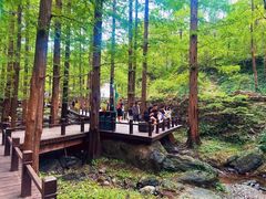 -国家植物园南园