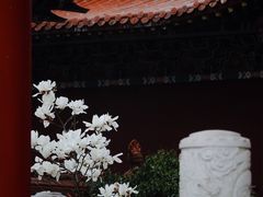 -皇罗禅寺