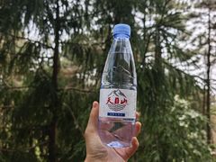 -天目山大树王景区