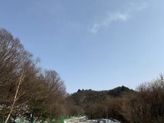 -秦岭风景区