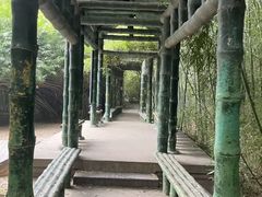 -西苑公园