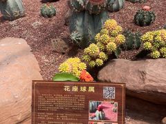 -南通洲际绿博园