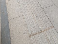 -巢爷老味(东方红店)