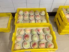 -老袁家蜜桃农场·阳山水蜜桃